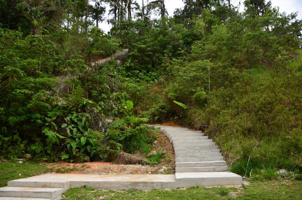 The Woodz Homestay タナ・ラタ エクステリア 写真